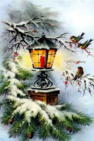 Winter's Warm Glow ❄️✨