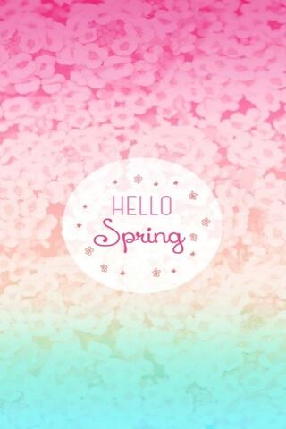 Hello Spring