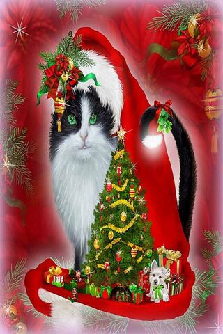 ख्रिसमस मांजर