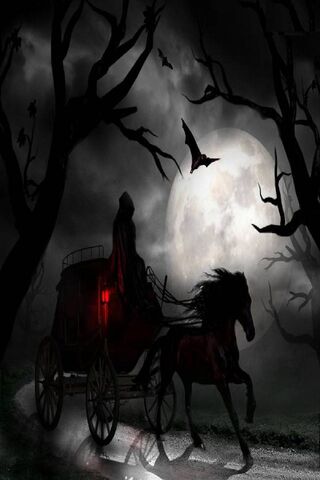 Midnight Journey of the Dark Rider 🌙🖤
