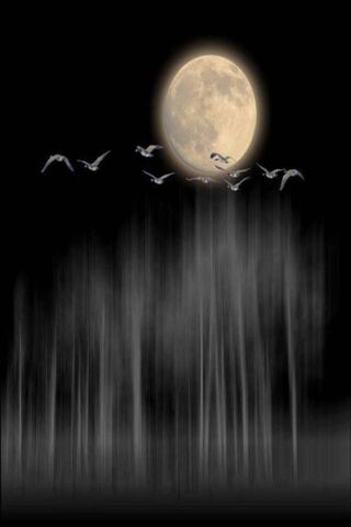 Moon Light Wallpaper - Download to your mobile from PHONEKY