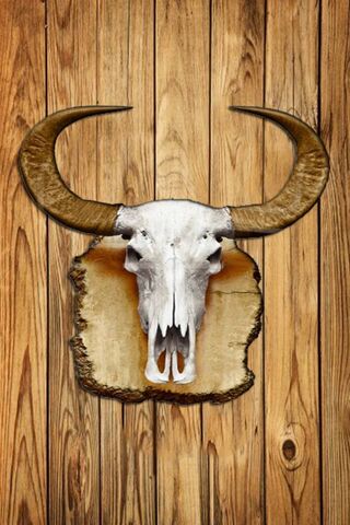 Oeste: The Spirit of the Wild West 🌵🐂