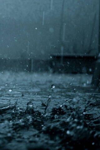 Whispers of the Rain