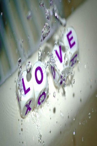Splash of Affection 💖