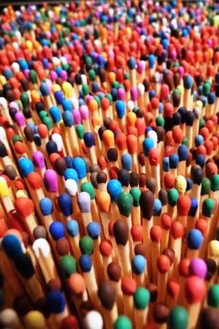 Colorful Forest of Matchsticks 🌈🔥
