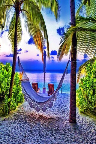 Serene Sunset Escape 🌅🌴
