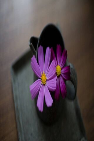 Nature's Elegance