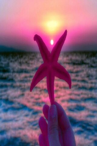 Sunset Serenity 🌅✨