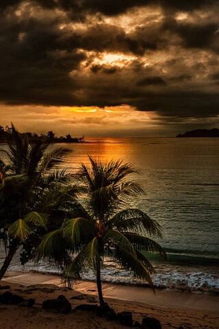 Sunset Serenity in Trop..
