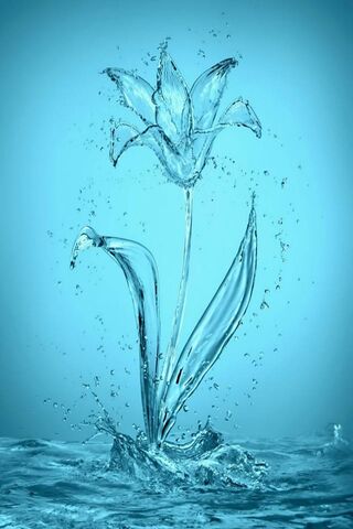 Water Flower Wallpaper - Download to your mobile from PHONEKY