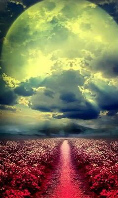 Red Path Wallpaper - Download to your mobile from PHONEKY