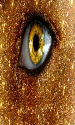 Glitter Golden Eye Wallpaper - Download to your mobile from PHONEKY