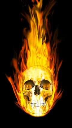 Flame Skull Live Wallpaper for Android  Download  Cafe Bazaar
