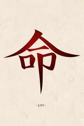 The Essence of Life in Chinese Calligraphy 🌟