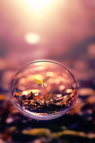 Bubble