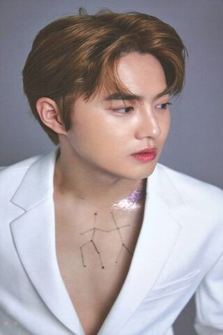 Celestial Elegance: Suho's Seasons