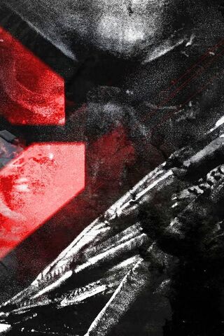 The Silent Hunter: A Glimpse into the Predator's Realm