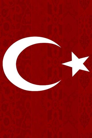The Symbol of Unity: Turk Bayrak 🇹🇷