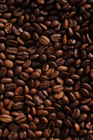 Coffee Addict