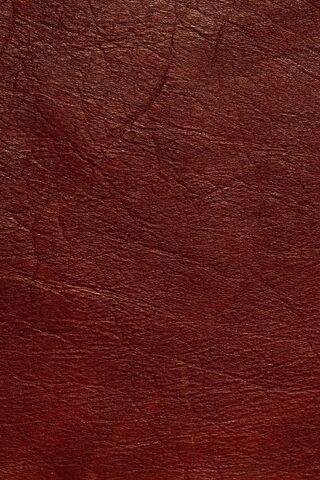 The Rich Texture of Ozcanates