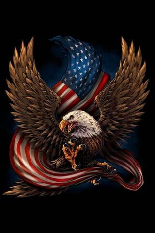 Patriotic Eagle Wallpaper - Download to your mobile from PHONEKY