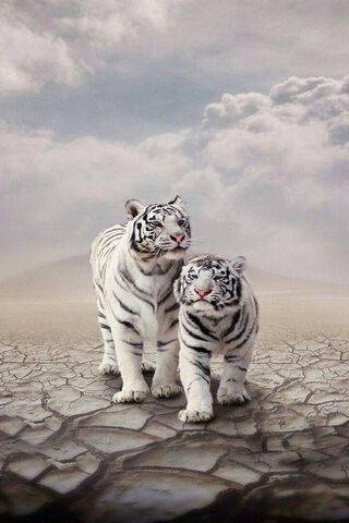 Majestic White Tigers in a Dreamy Landscape 🐅✨