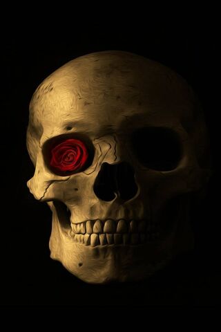The Rose Within the Skull 🌹💀