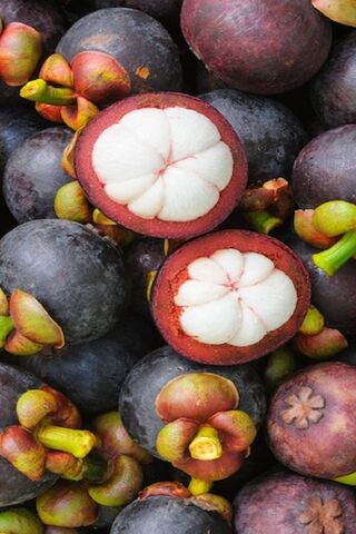 The Royal Fruit: Mangosteen Delight 🍈👑