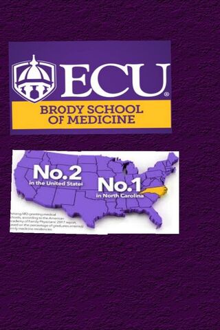 Ecu