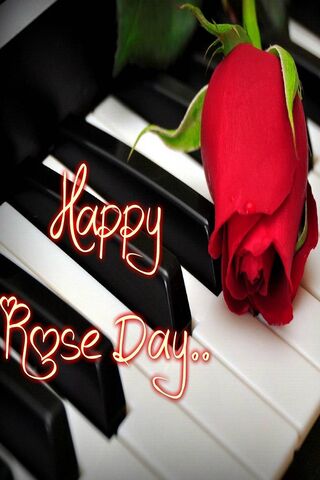 Happy Rose Day