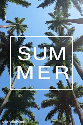 Chasing Summer Vibes ☀️🌴