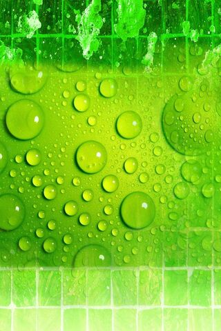 Emerald Oasis: Nature's Refreshing Touch 🌿💧