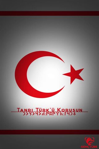 Guardians of Turkish Heritage 🇹🇷✨