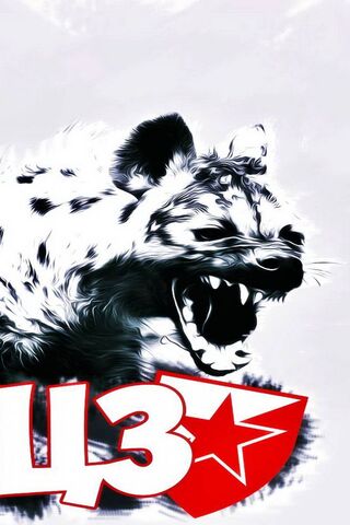 Delija: The Fierce Spirit of the Hyena 🐾