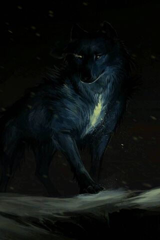 Wolf