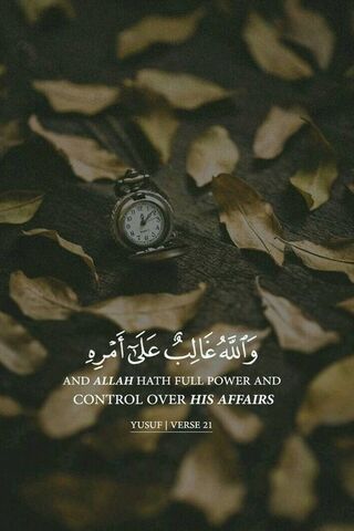 Divine Timing: Trust in His Plan ⏳✨