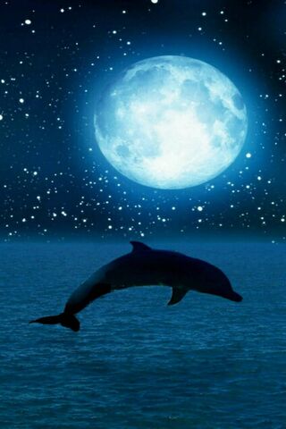 Dancing with the Moonli..