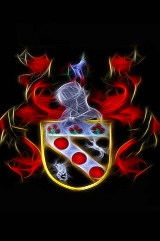 Heraldic Elegance: The Coat of Arms Unveiled