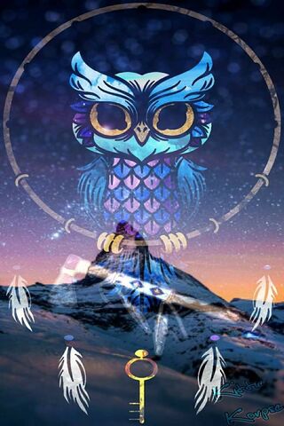 Owl Dreamcather