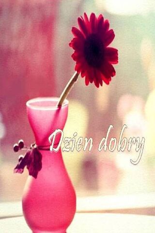 Morning Blooms 🌼✨