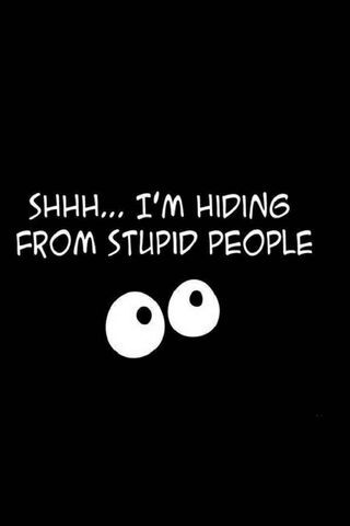 Quietly Escaping the Noise 🤫