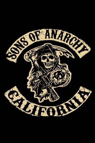 Rebel Spirit: The Legacy of Sons of Anarchy 🏍️💀