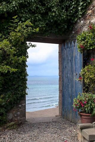 Gateway to the Sea 🌊✨