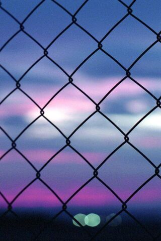 Twilight Through the Fence 🌅