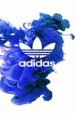 Adidas: A Splash of Sty..