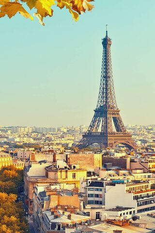 Parisian Icon: The Eiff..