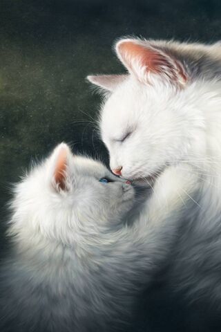 Whiskered Affection: A ..