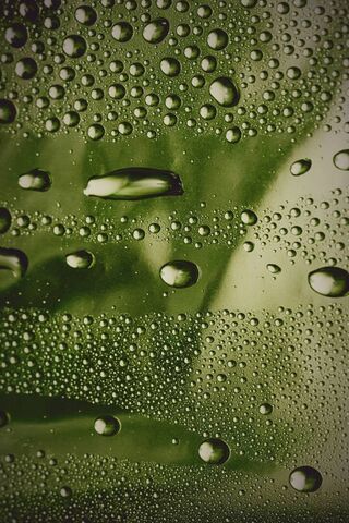 Nature's Jewels: Water Drops on Green