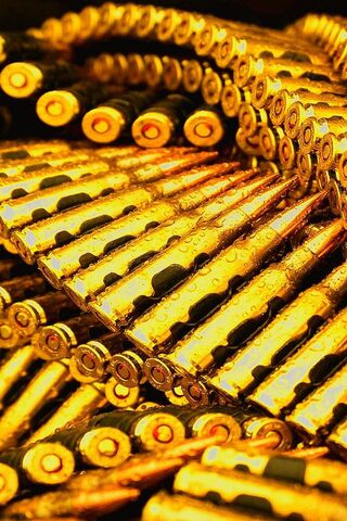 Gleaming Arsenal: The Allure of Golden Munitions ✨🔫