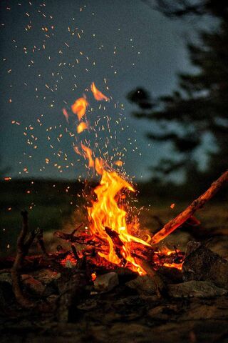 Dancing Flames: The Heart of the Campfire 🔥✨